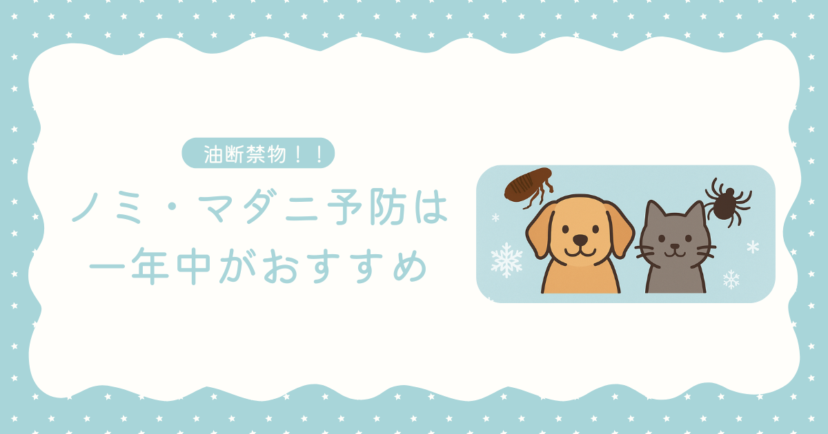 水色　白　かわいい　育児　はてなブログ　アイキャッチ画像