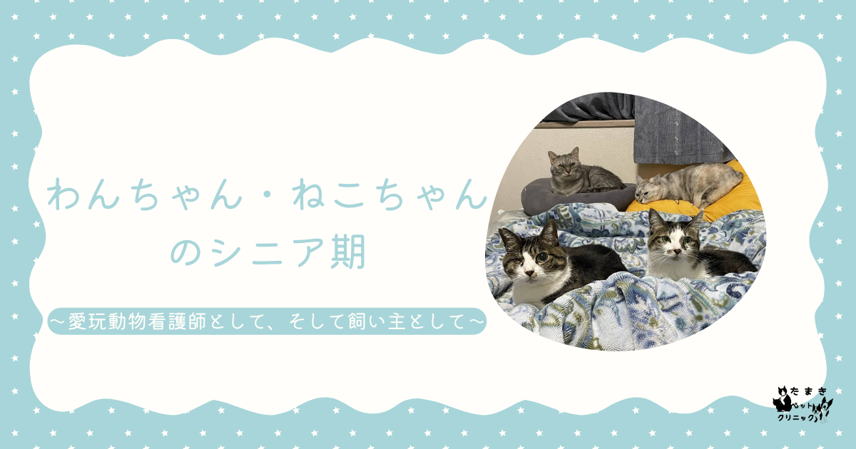 水色　白　かわいい　育児　はてなブログ　アイキャッチ画像 (1)