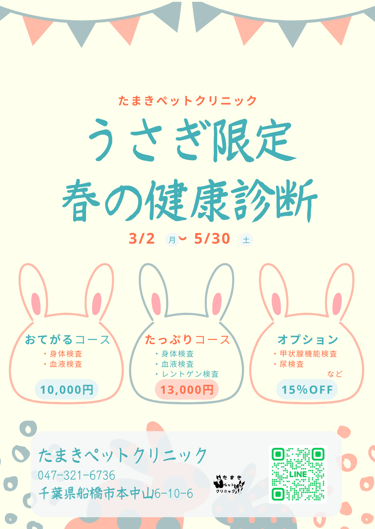 ピンクと青 ウサギ 復活祭 チラシ