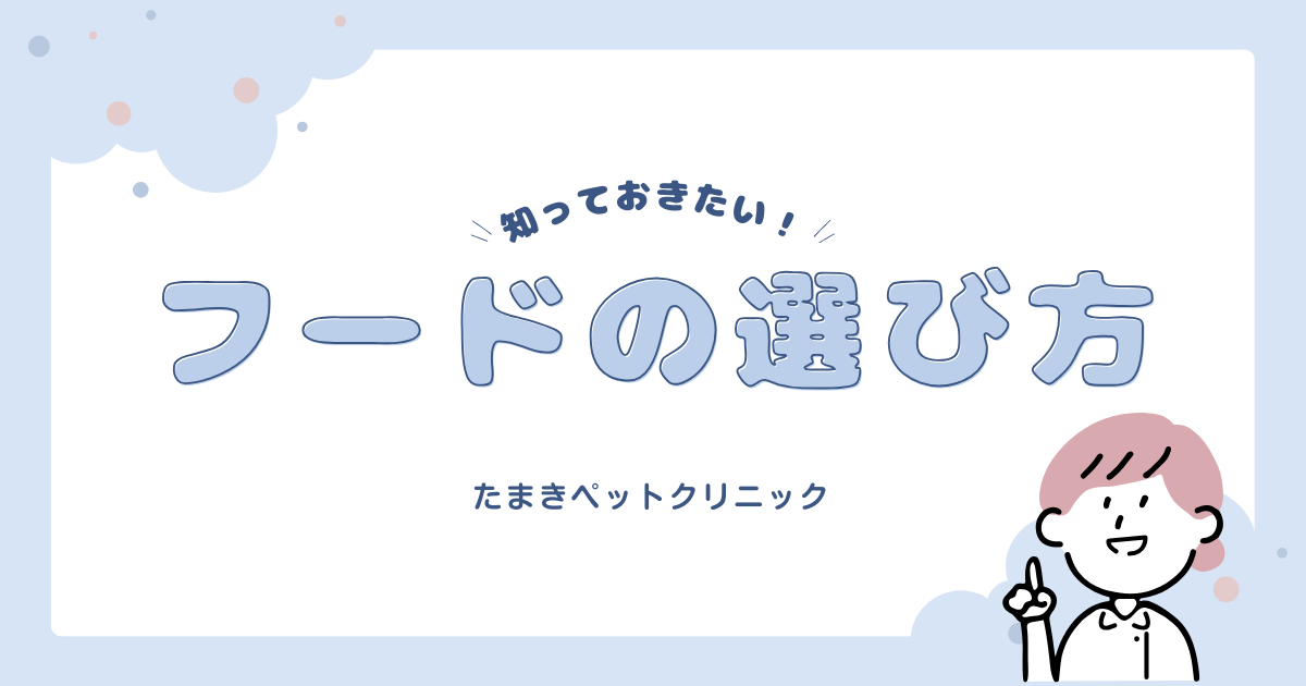 水色　白　かわいい　ポップ　子供　イラスト　自由研究　はてなブログアイキャッチ