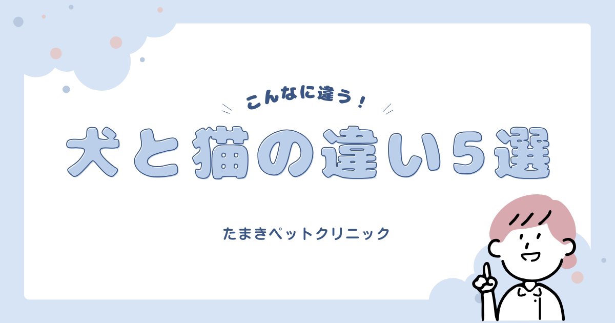水色　白　かわいい　ポップ　子供　イラスト　自由研究　はてなブログアイキャッチ (1)