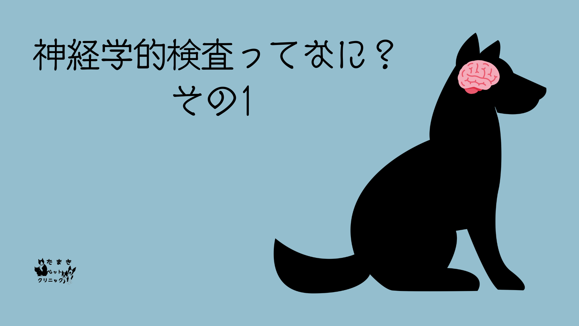 可視光とは 科学 プレゼンテーション ライトブルー 黒 手書きスタイル (11)