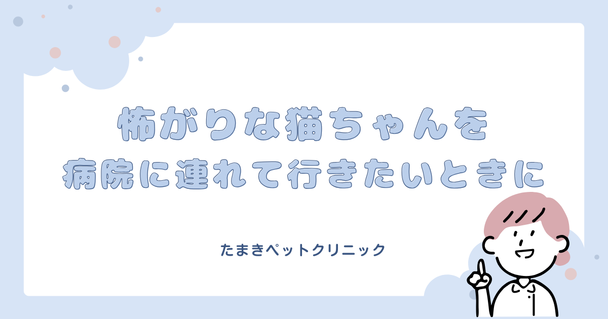 怖がりな猫ちゃんを病院に連れて行きたいときに🐈の外観