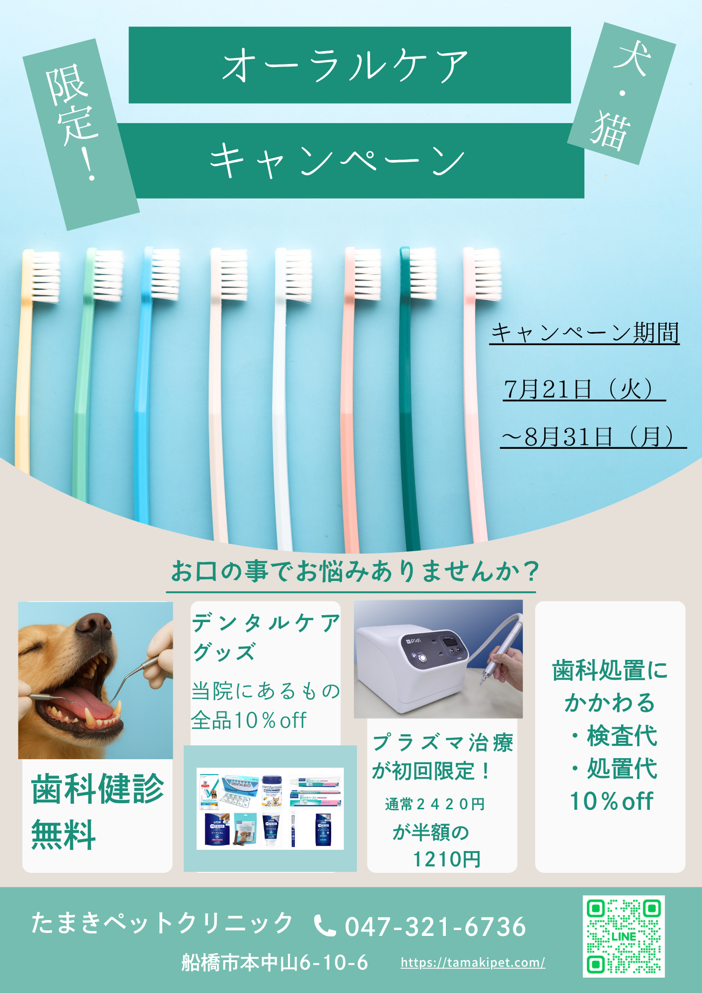 緑　ベージュ　白　シンプル　安心　 訪問介護　チラシ　A4